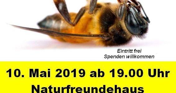 10.05.2019 Vortrag “Insektensterben”